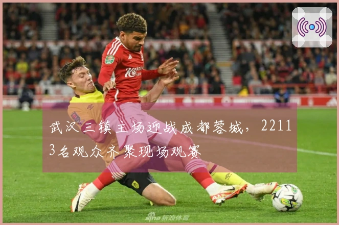 武汉三镇主场迎战成都蓉城，22113名观众齐聚现场观赛